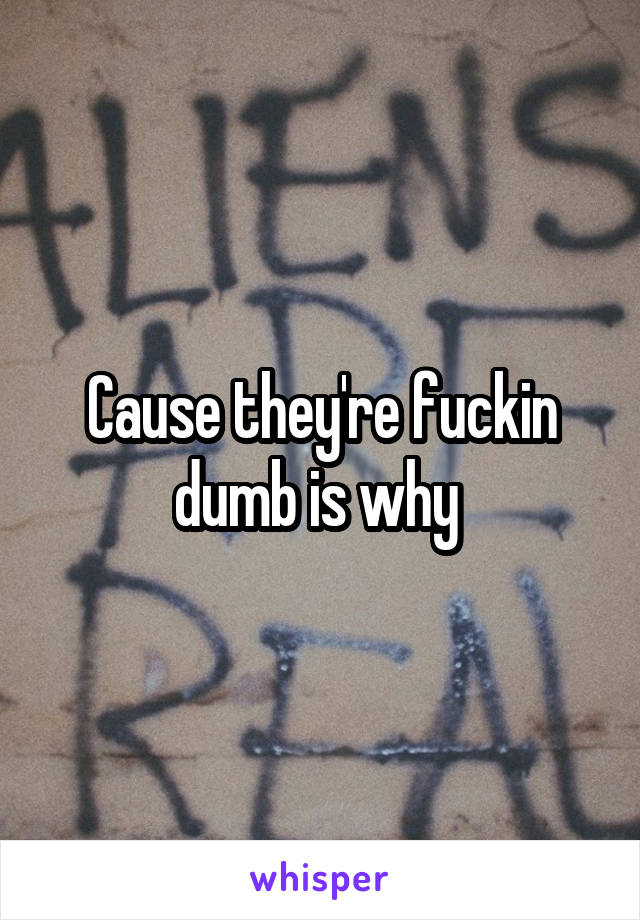 Cause they're fuckin dumb is why 