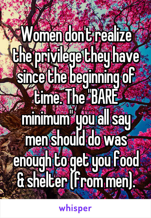 Women don't realize the privilege they have since the beginning of time. The "BARE minimum" you all say men should do was enough to get you food & shelter (from men).