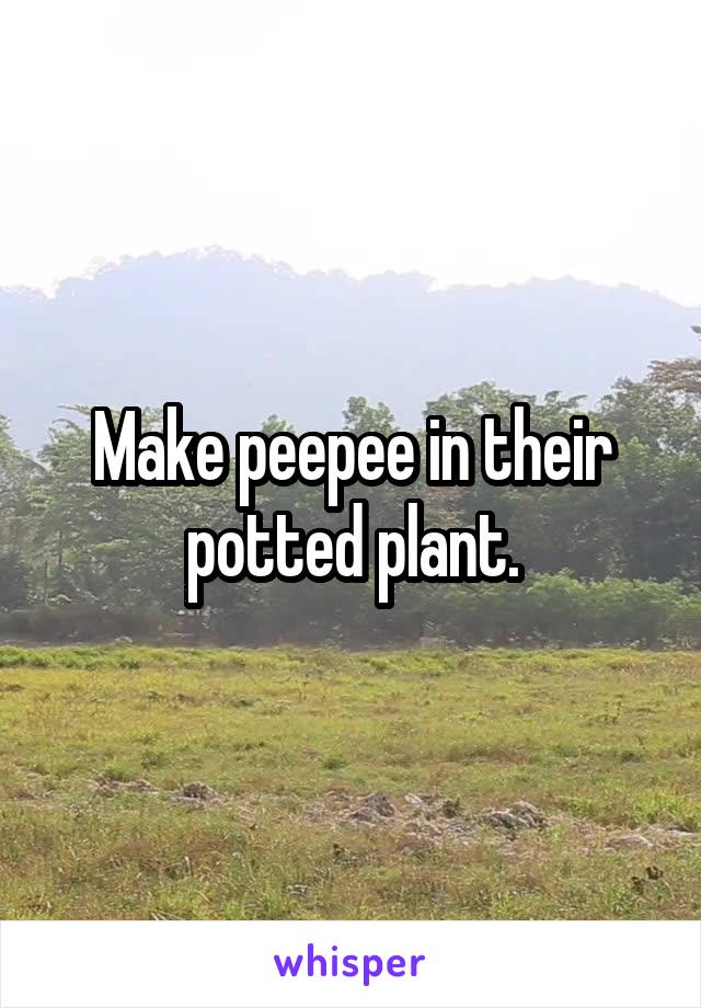 Make peepee in their potted plant.