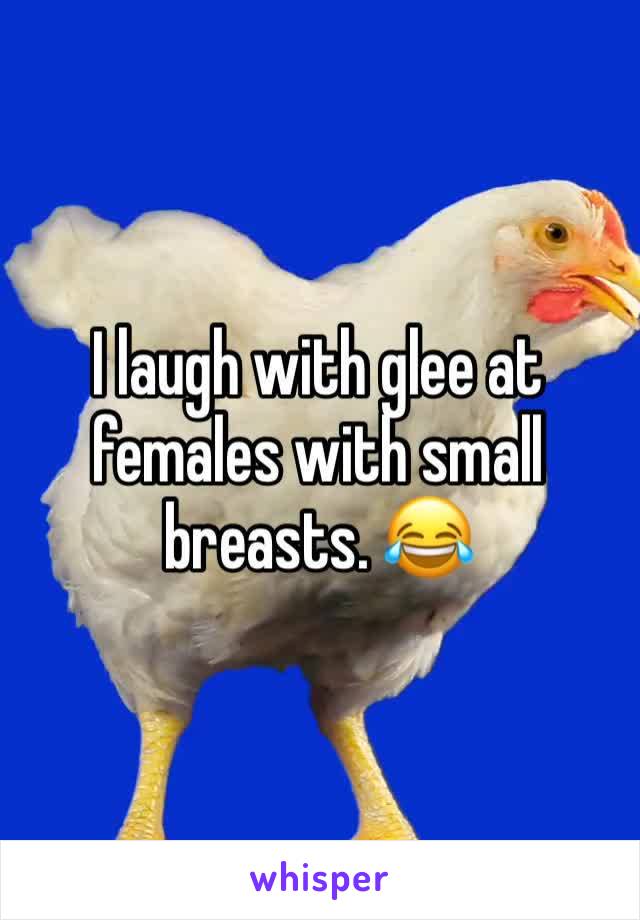 I laugh with glee at females with small breasts. 😂