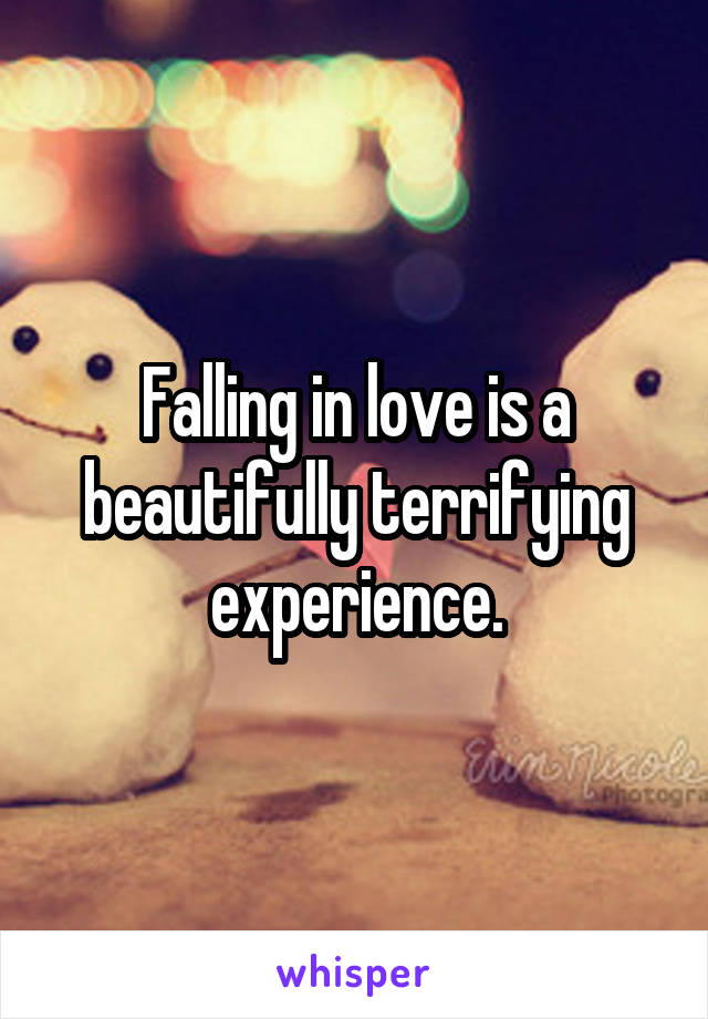 Falling in love is a beautifully terrifying experience.