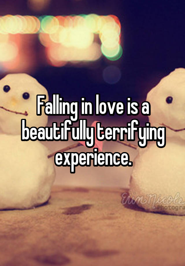 Falling in love is a beautifully terrifying experience.