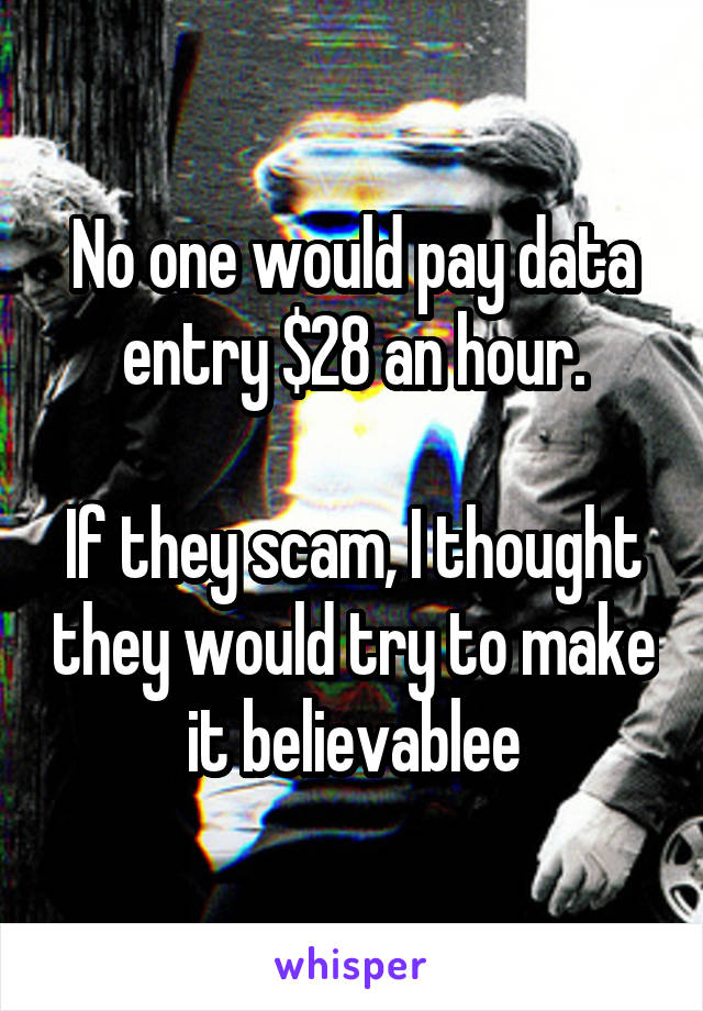 No one would pay data entry $28 an hour.

If they scam, I thought they would try to make it believablee