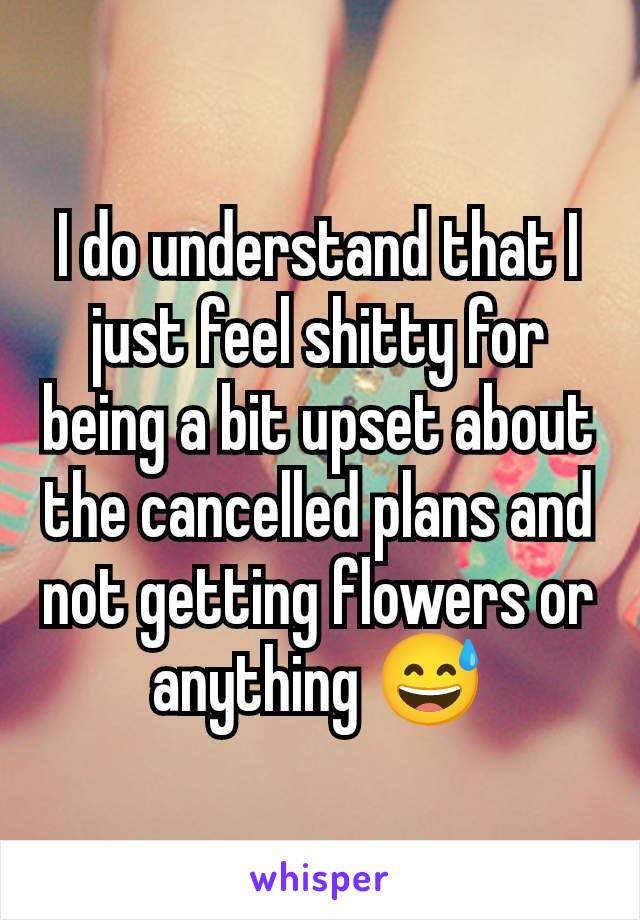 I do understand that I just feel shitty for being a bit upset about the cancelled plans and not getting flowers or anything 😅