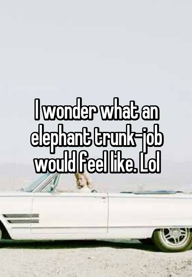 I wonder what an elephant trunk-job would feel like. Lol