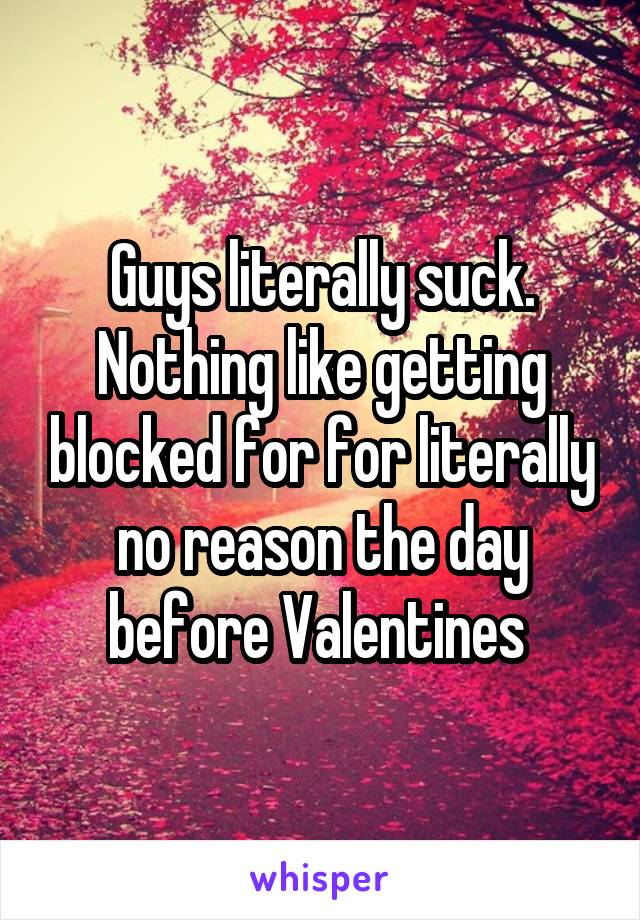 Guys literally suck. Nothing like getting blocked for for literally no reason the day before Valentines 