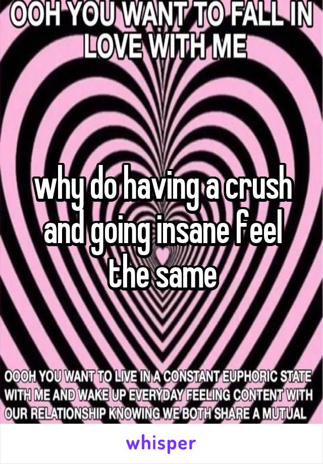 why do having a crush and going insane feel the same