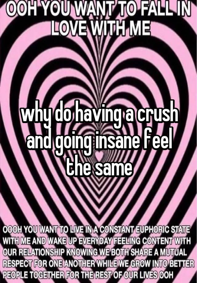 why do having a crush and going insane feel the same