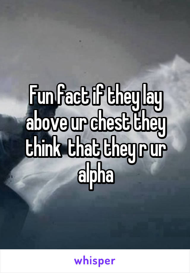 Fun fact if they lay above ur chest they think  that they r ur alpha