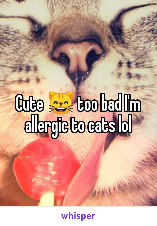 Cute 😸 too bad I'm allergic to cats lol