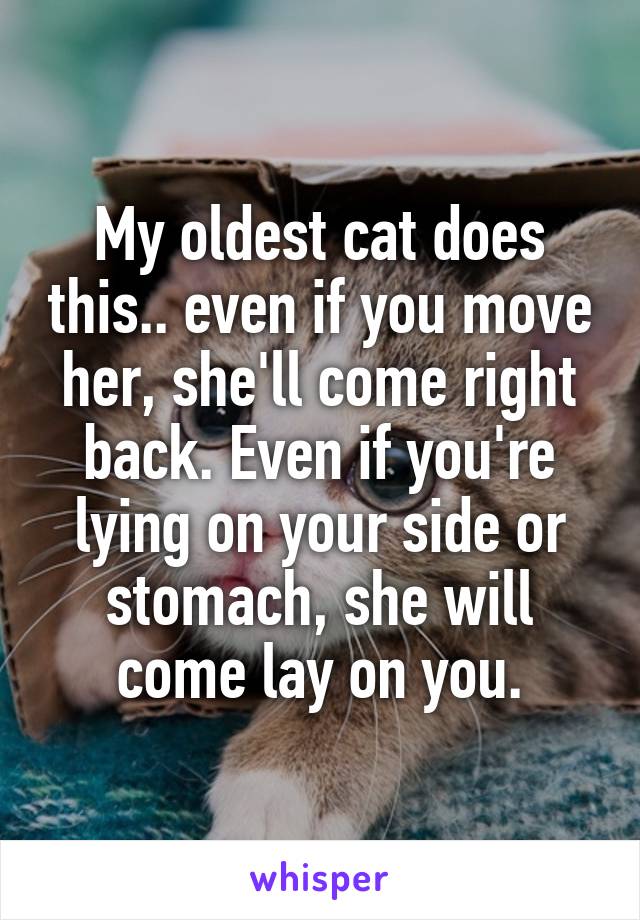 My oldest cat does this.. even if you move her, she'll come right back. Even if you're lying on your side or stomach, she will come lay on you.