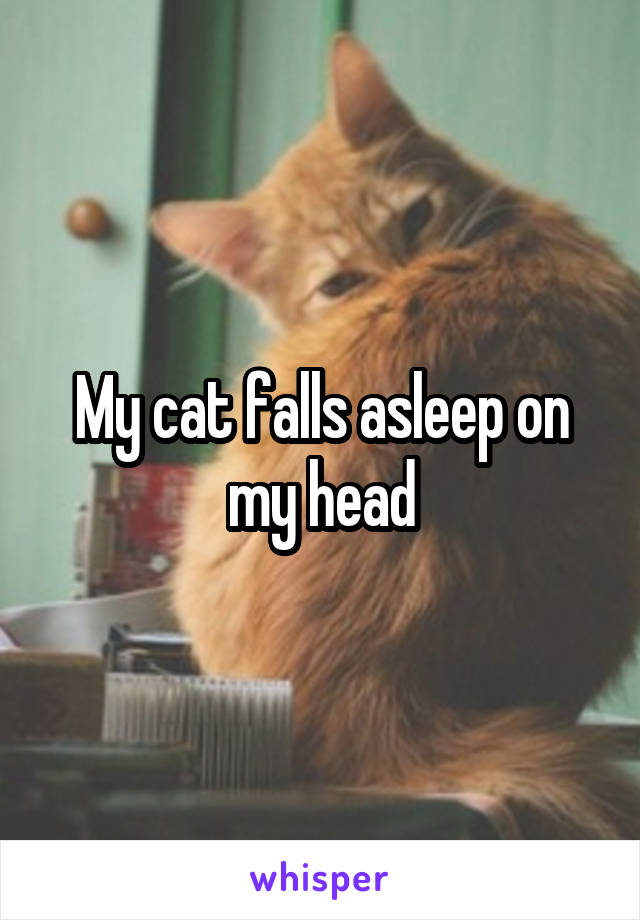 My cat falls asleep on my head