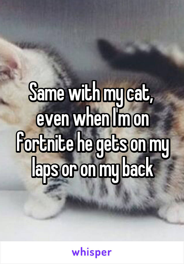 Same with my cat,  even when I'm on fortnite he gets on my laps or on my back