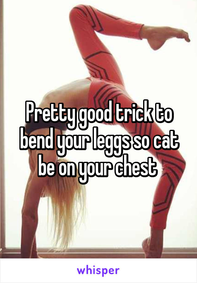 Pretty good trick to bend your leggs so cat be on your chest 