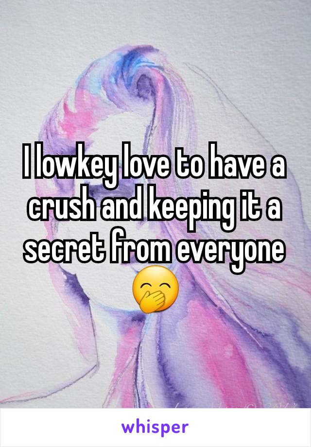 I lowkey love to have a crush and keeping it a secret from everyone 🤭