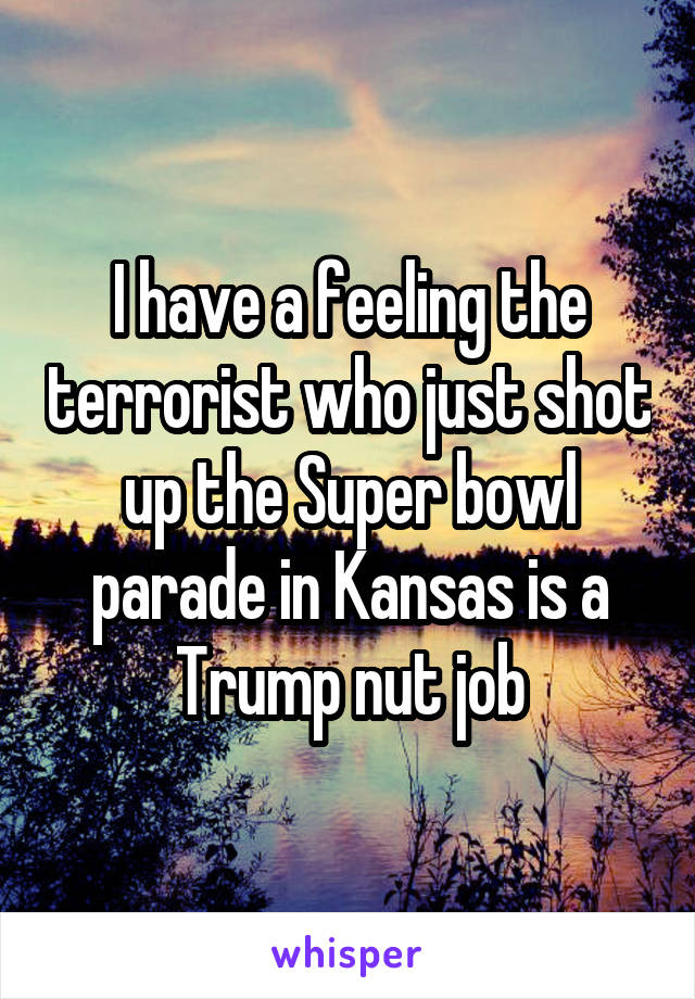 I have a feeling the terrorist who just shot up the Super bowl parade in Kansas is a Trump nut job