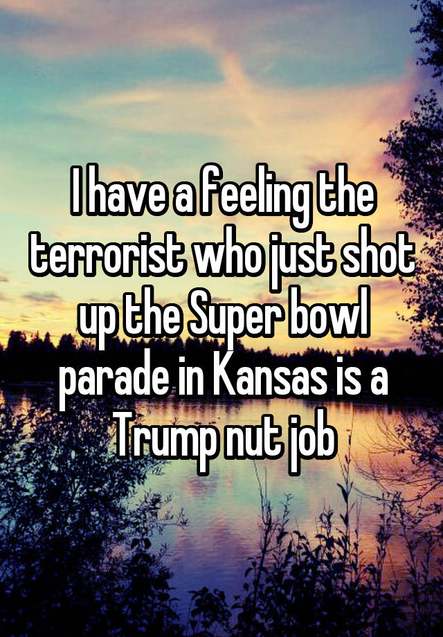 I have a feeling the terrorist who just shot up the Super bowl parade in Kansas is a Trump nut job