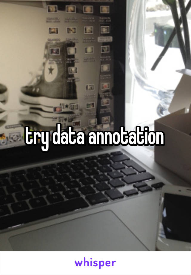 try data annotation 