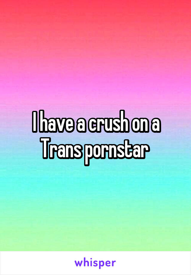 I have a crush on a Trans pornstar 