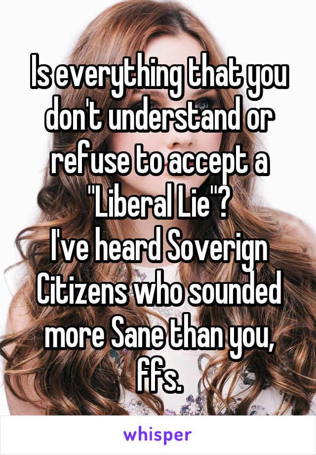 Is everything that you don't understand or refuse to accept a "Liberal Lie"?
I've heard Soverign Citizens who sounded more Sane than you, ffs.