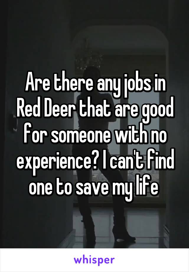 Are there any jobs in Red Deer that are good for someone with no experience? I can't find one to save my life 