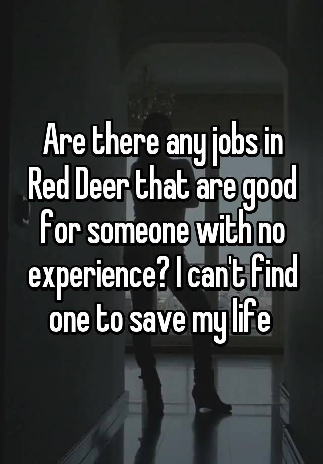 Are there any jobs in Red Deer that are good for someone with no experience? I can't find one to save my life 