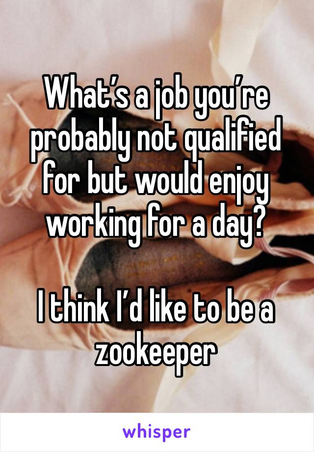 What’s a job you’re probably not qualified for but would enjoy working for a day?

I think I’d like to be a zookeeper