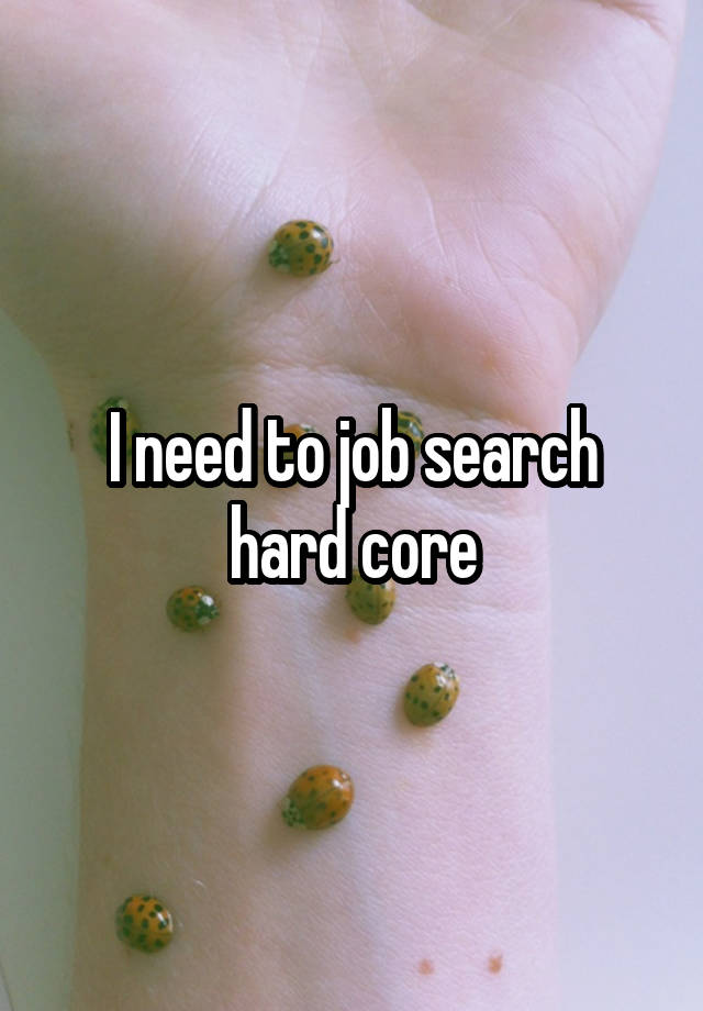 I need to job search hard core