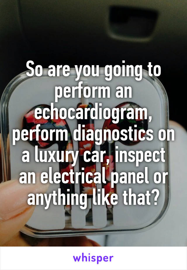 So are you going to perform an echocardiogram, perform diagnostics on a luxury car, inspect an electrical panel or anything like that?