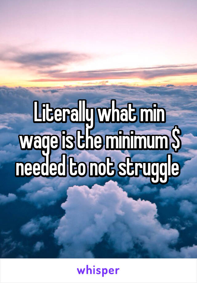 Literally what min wage is the minimum $ needed to not struggle 