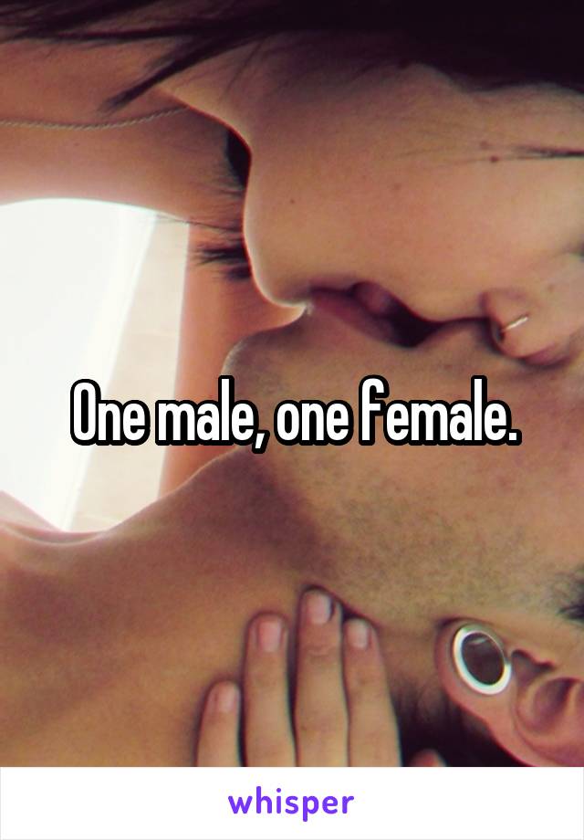 One male, one female.