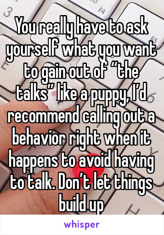 You really have to ask yourself what you want to gain out of “the talks” like a puppy, I’d recommend calling out a behavior right when it happens to avoid having to talk. Don’t let things build up