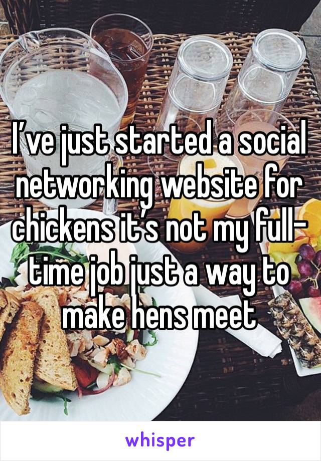 I’ve just started a social networking website for chickens it’s not my full-time job just a way to make hens meet