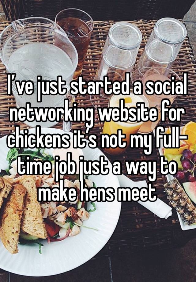 I’ve just started a social networking website for chickens it’s not my full-time job just a way to make hens meet