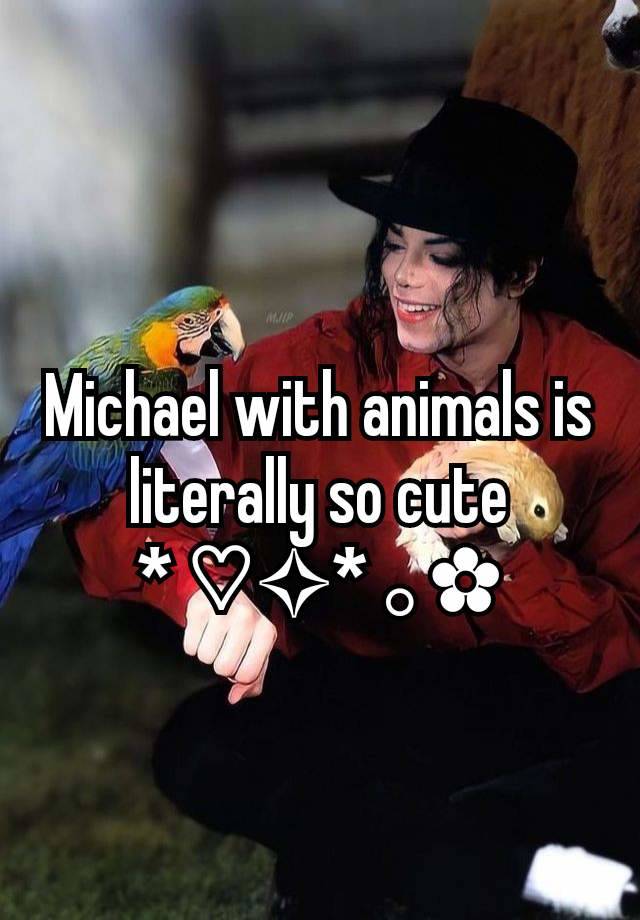 Michael with animals is literally so cute             * ♡✧⁠* ｡✿