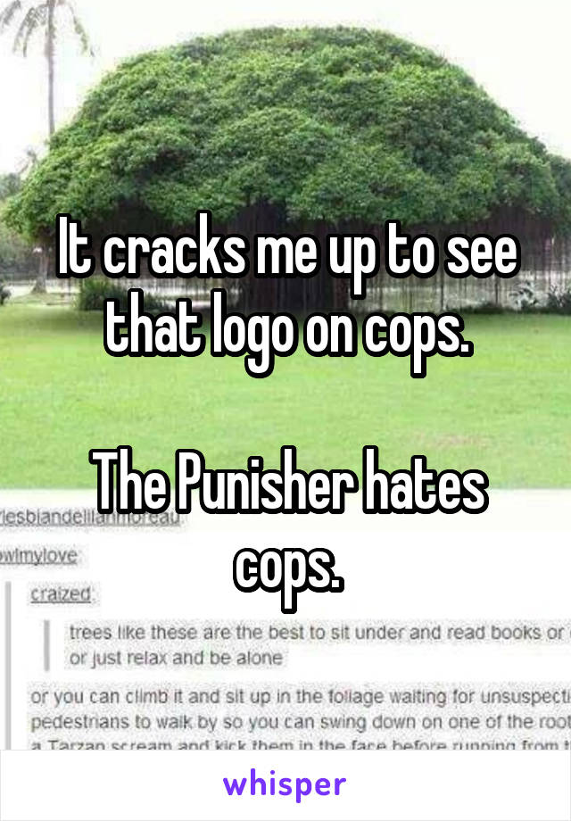 It cracks me up to see that logo on cops.

The Punisher hates cops.