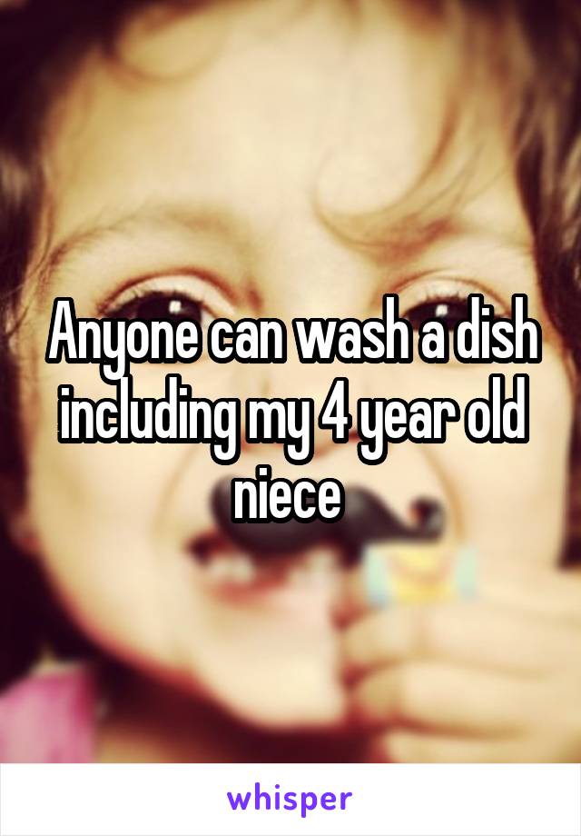 Anyone can wash a dish including my 4 year old niece 