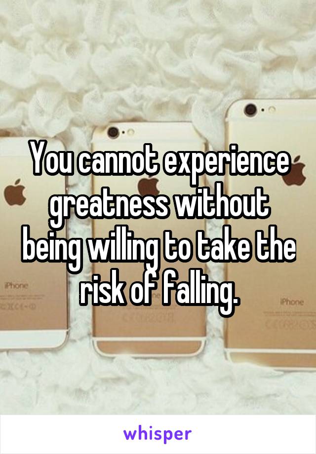 You cannot experience greatness without being willing to take the risk of falling.