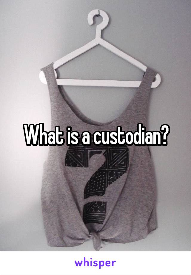 What is a custodian?