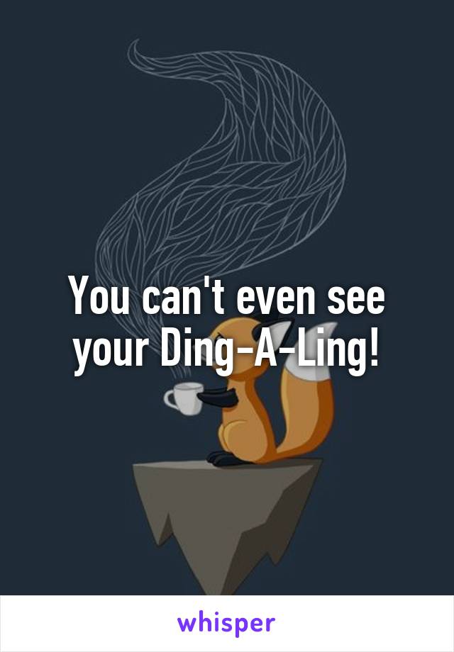 You can't even see your Ding-A-Ling!