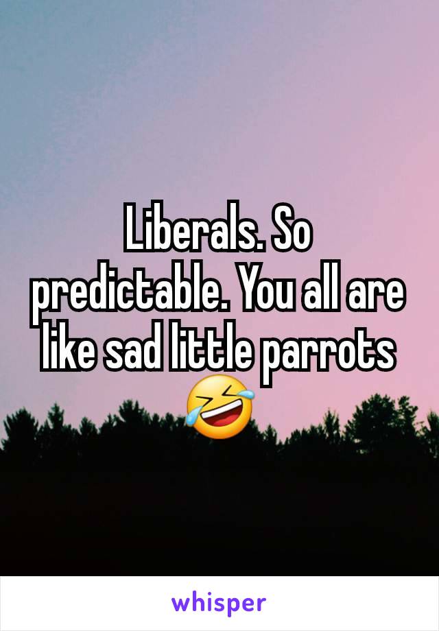 Liberals. So predictable. You all are like sad little parrots 🤣