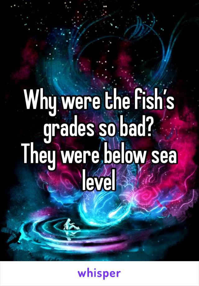 Why were the fish’s grades so bad?
They were below sea level 