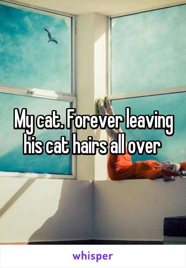 My cat. Forever leaving his cat hairs all over 