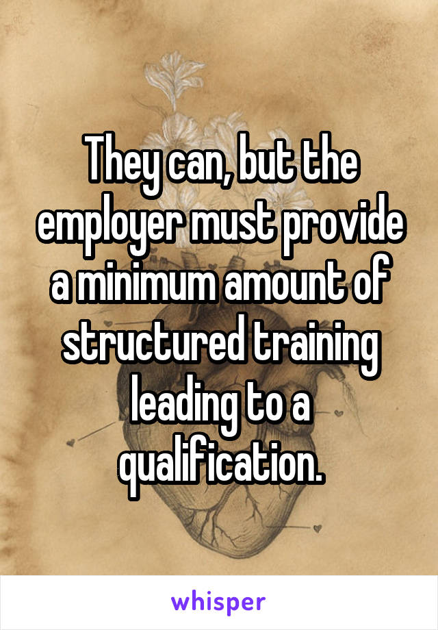 They can, but the employer must provide a minimum amount of structured training leading to a qualification.