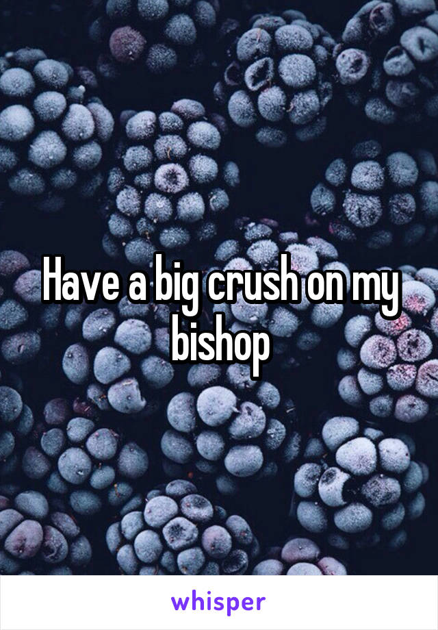 Have a big crush on my bishop