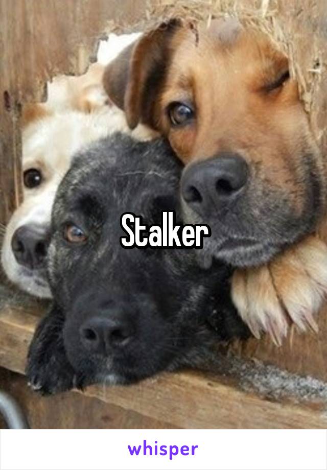 Stalker