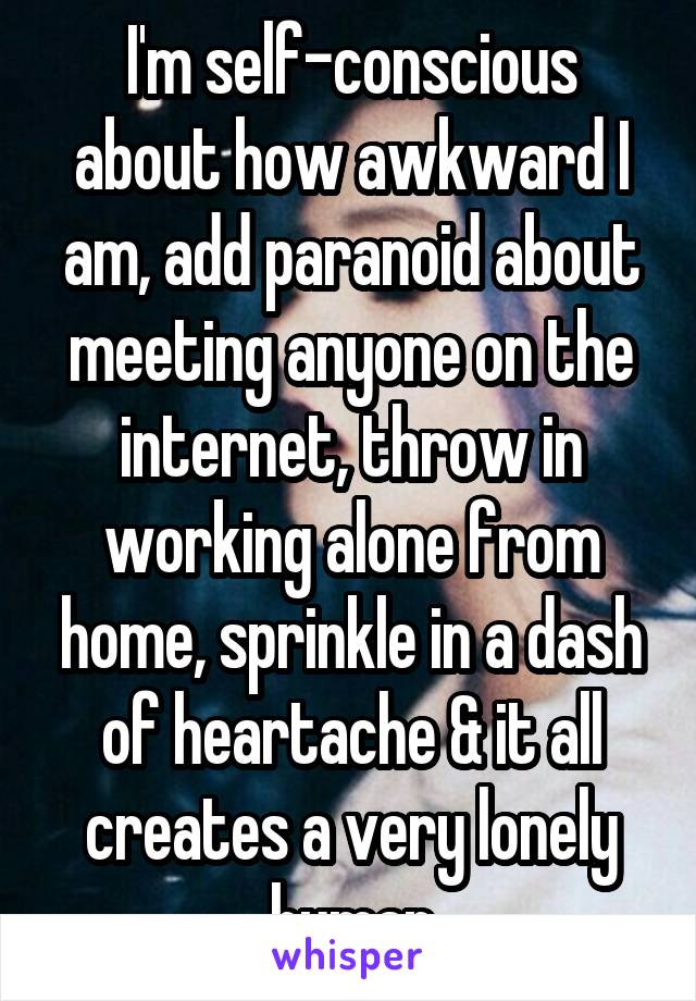 I'm self-conscious about how awkward I am, add paranoid about meeting anyone on the internet, throw in working alone from home, sprinkle in a dash of heartache & it all creates a very lonely human