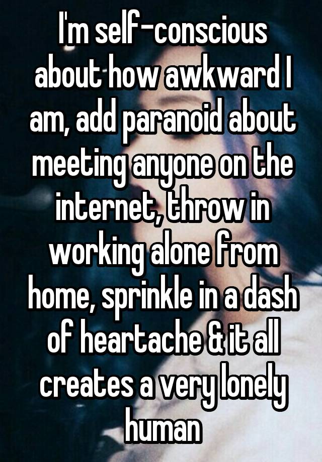 I'm self-conscious about how awkward I am, add paranoid about meeting anyone on the internet, throw in working alone from home, sprinkle in a dash of heartache & it all creates a very lonely human