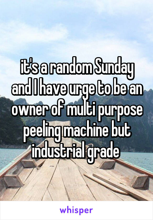 it's a random Sunday and I have urge to be an owner of multi purpose peeling machine but industrial grade 