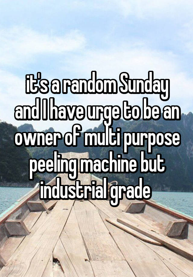 it's a random Sunday and I have urge to be an owner of multi purpose peeling machine but industrial grade 